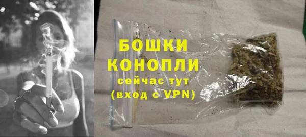 стаф Магас