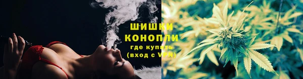 мяу мяу мука Покачи