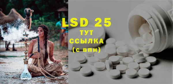 стаф Магас