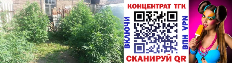 Дистиллят ТГК THC oil  Ухта 